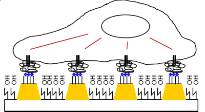 Wechselwirkung von Zellen mit Nanostrukturen (Schema)